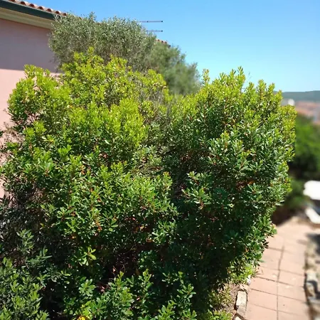 Monolocale Il Corbezzolo Santa Teresa Gallura